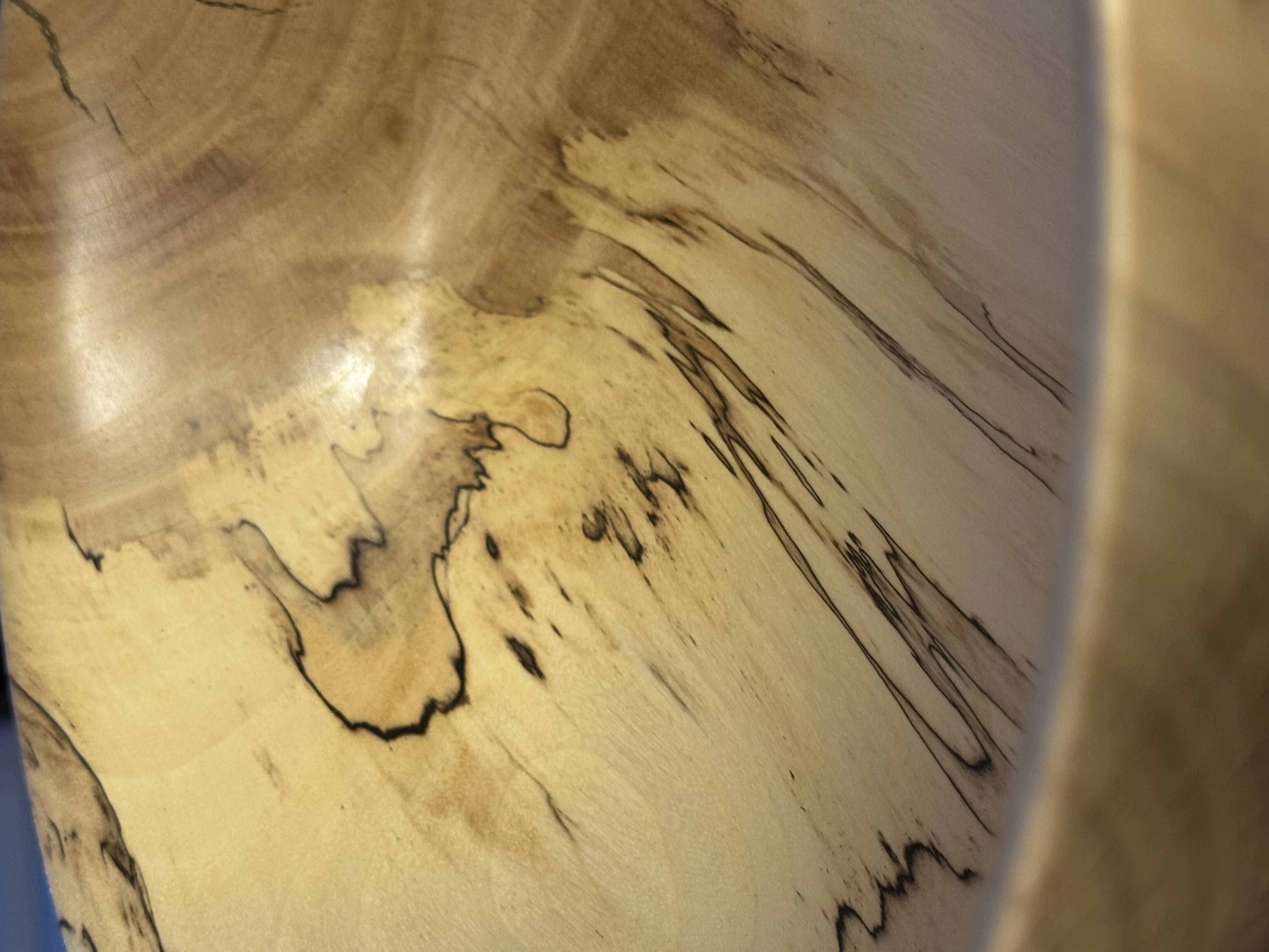 Close-up detail of spalted maple bowl showing dramatic black zone lines and fungal figure in pale wood